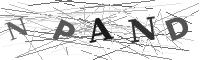 Please refresh your browser to see this image.